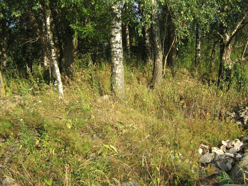 Fail:Kuksema IMG 2422.JPG