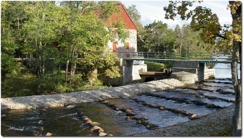 Fail:Kose veski kalatrepp.jpeg