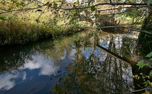 Pöögle/Kuustle veski ülavesi. Foto: E. Kirt, 2011. a.