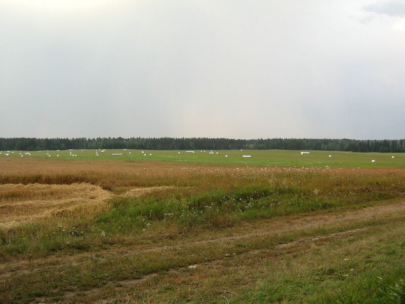 Fail:Paistevälja IMG 2644.JPG